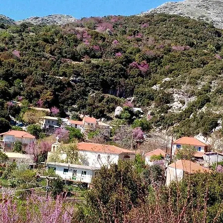 Mountain House Country house